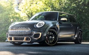 Mini GP F350 by Manhart Racing '2020